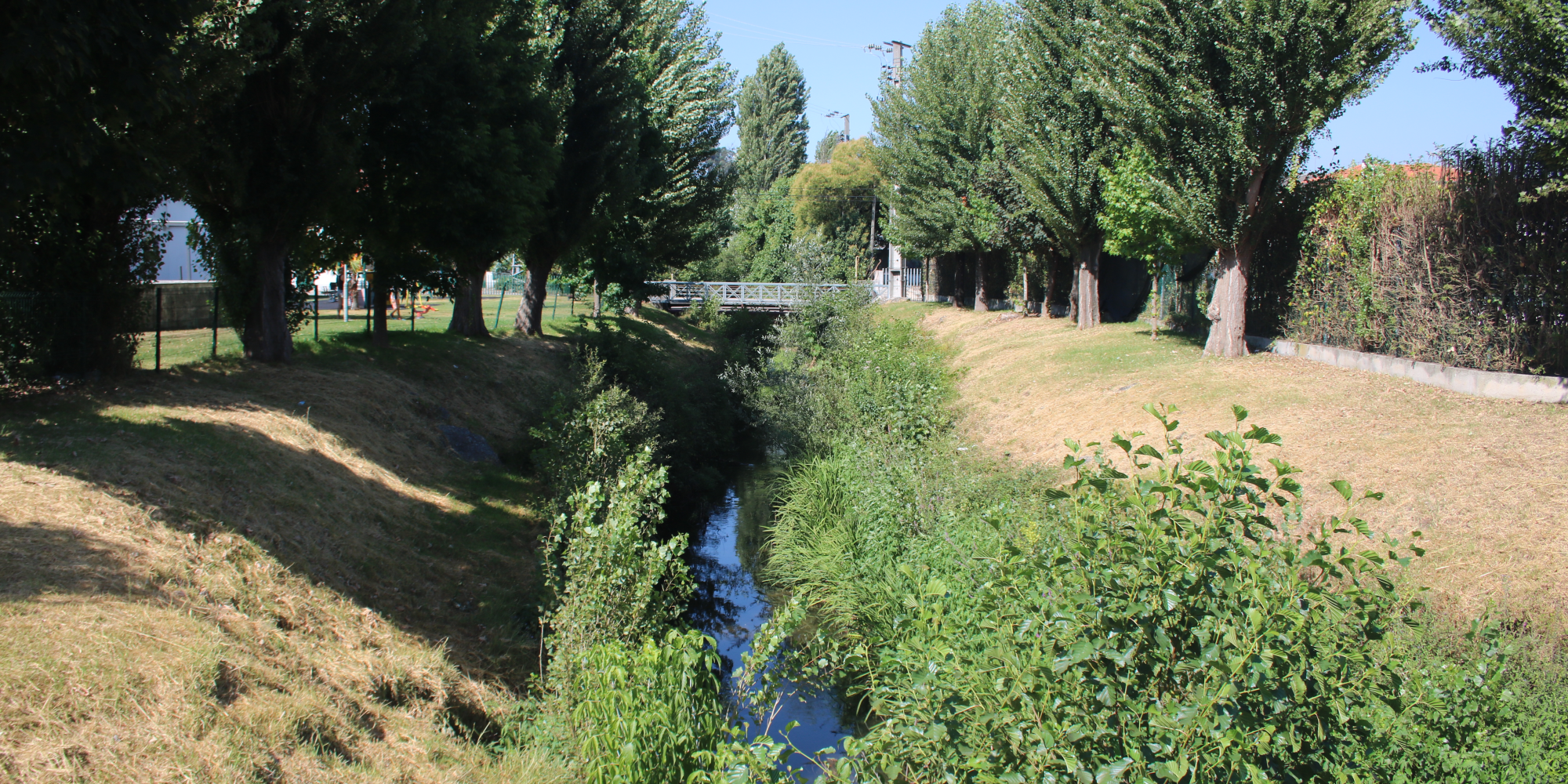 3 ACTIONS DE BALANÇAS MARQUES AVEC DU POIDS DANS LA CONSERVATION DE LA NATURE
