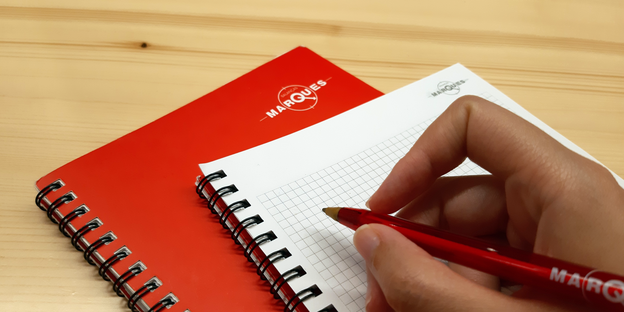 LETTER TO A BALANÇAS MARQUES OF THE FUTURE