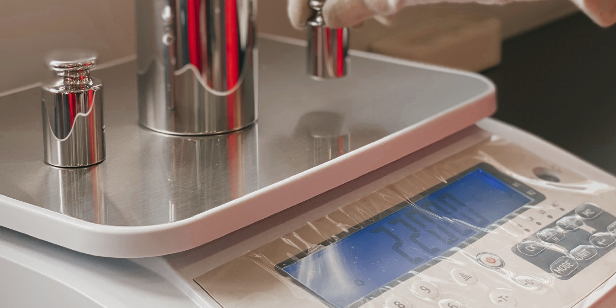 WEIGHING 101: WHATS THE RANGE AND DIVISION OF A SCALE?